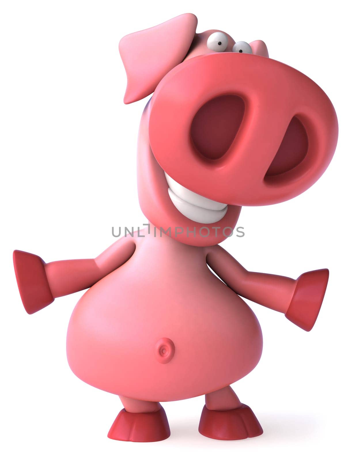 Pig
