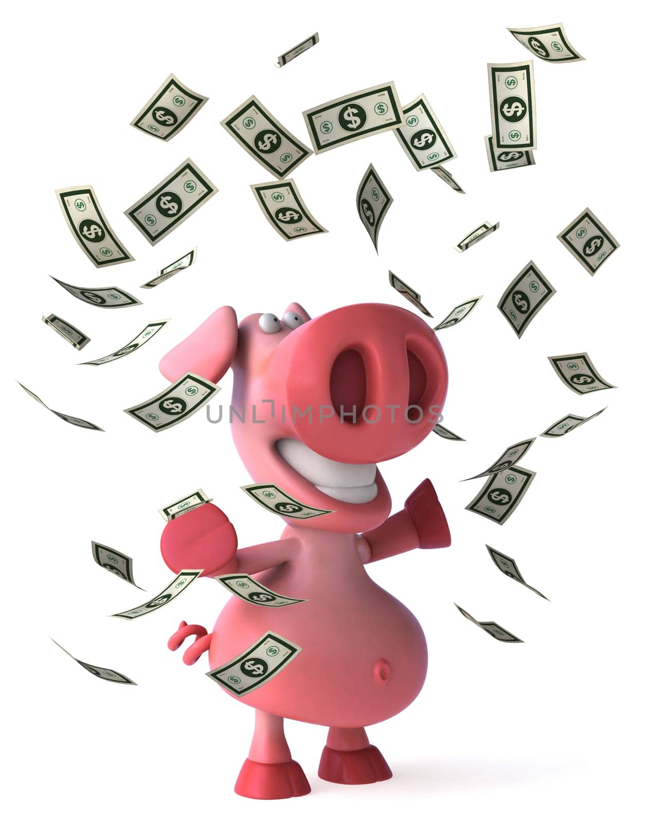 Pig