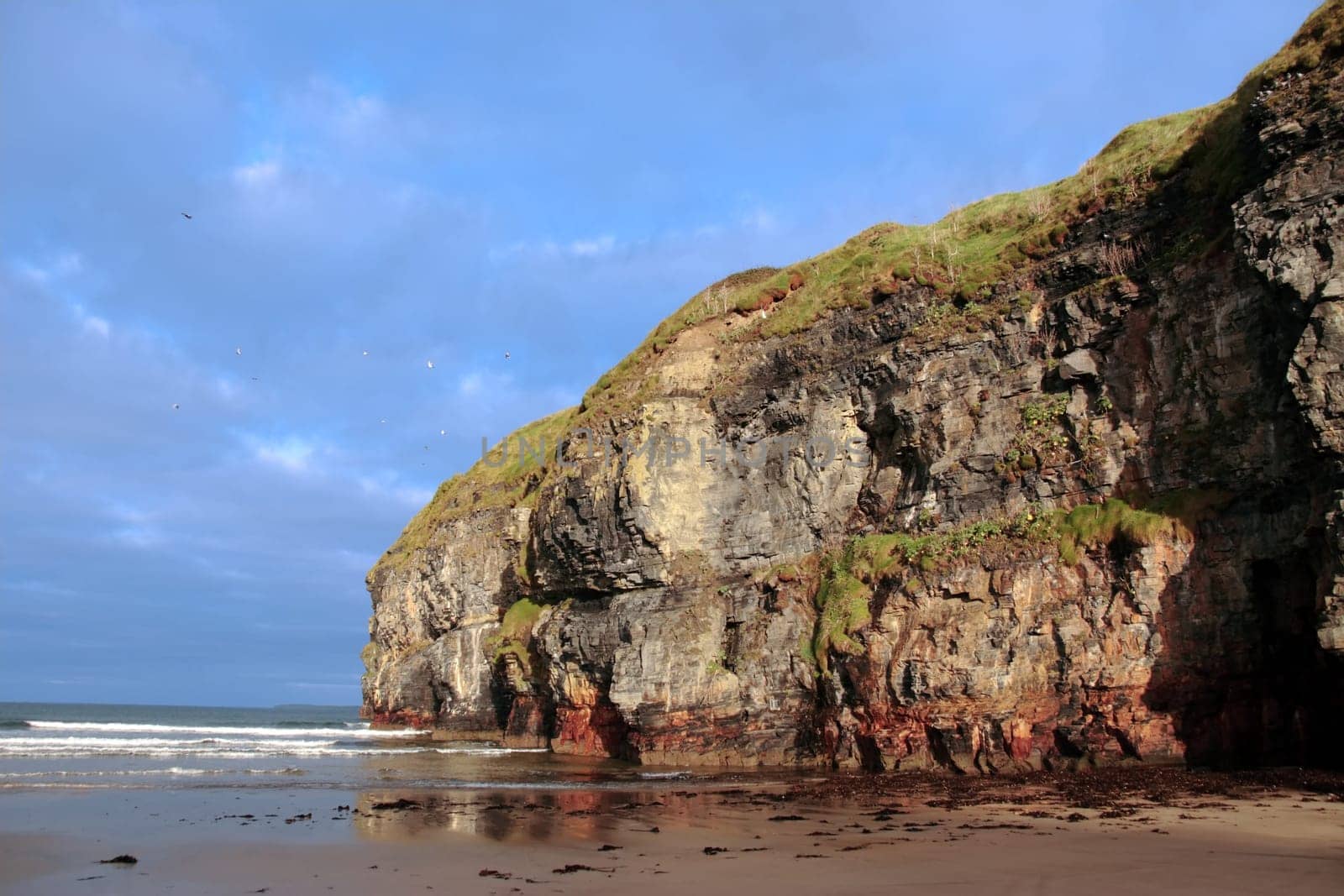 a view of the beach cliffs in ballybunion co kerry ireland with abundance of seaweed after a storm