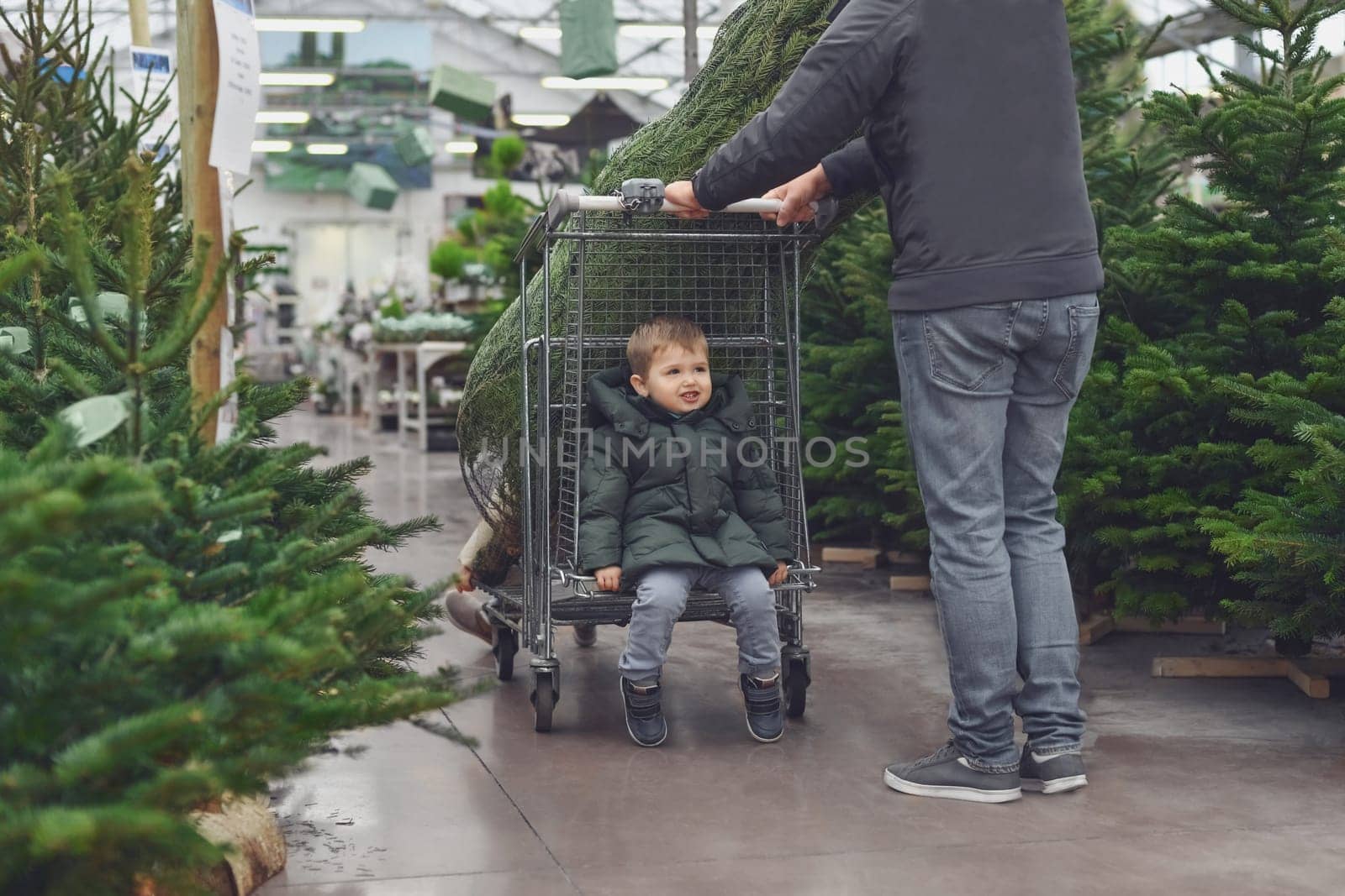 Father and son choose a Christmas tree in the market.