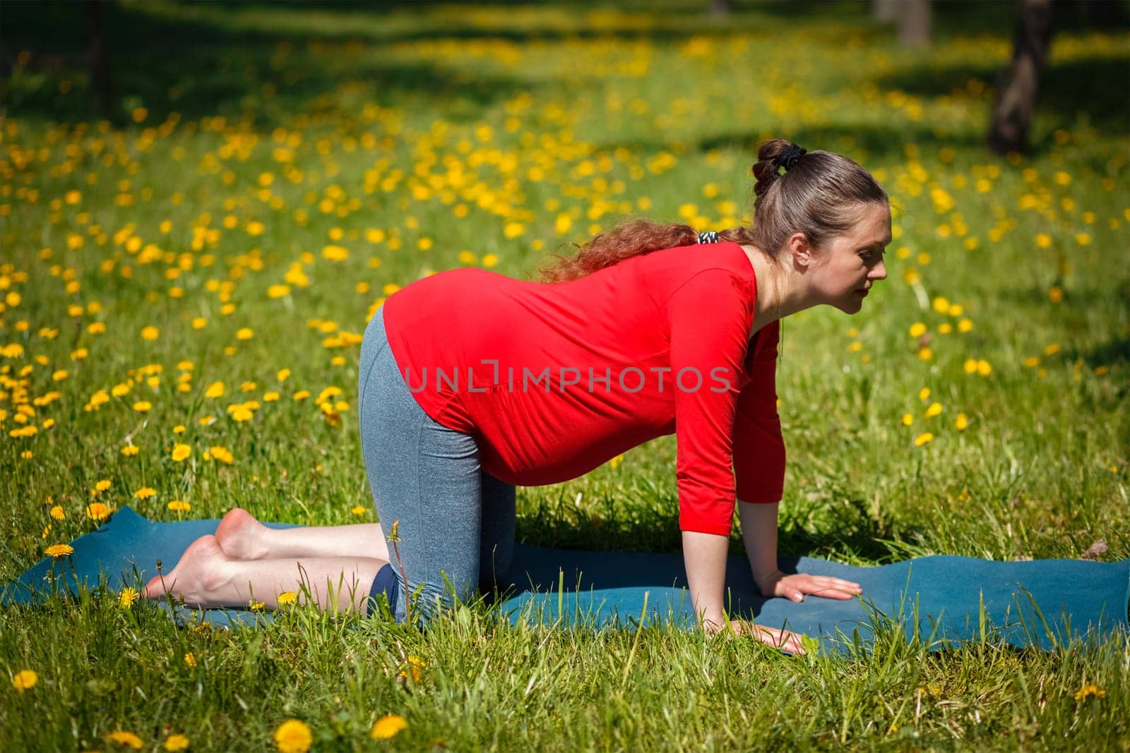 Pregnant woman doing asana Bitilasana outdoors by dimol