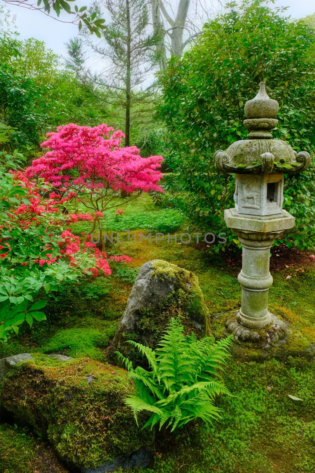 Stone lantern in Japanese garden in Park Clingendael, The Hague, Netherlands