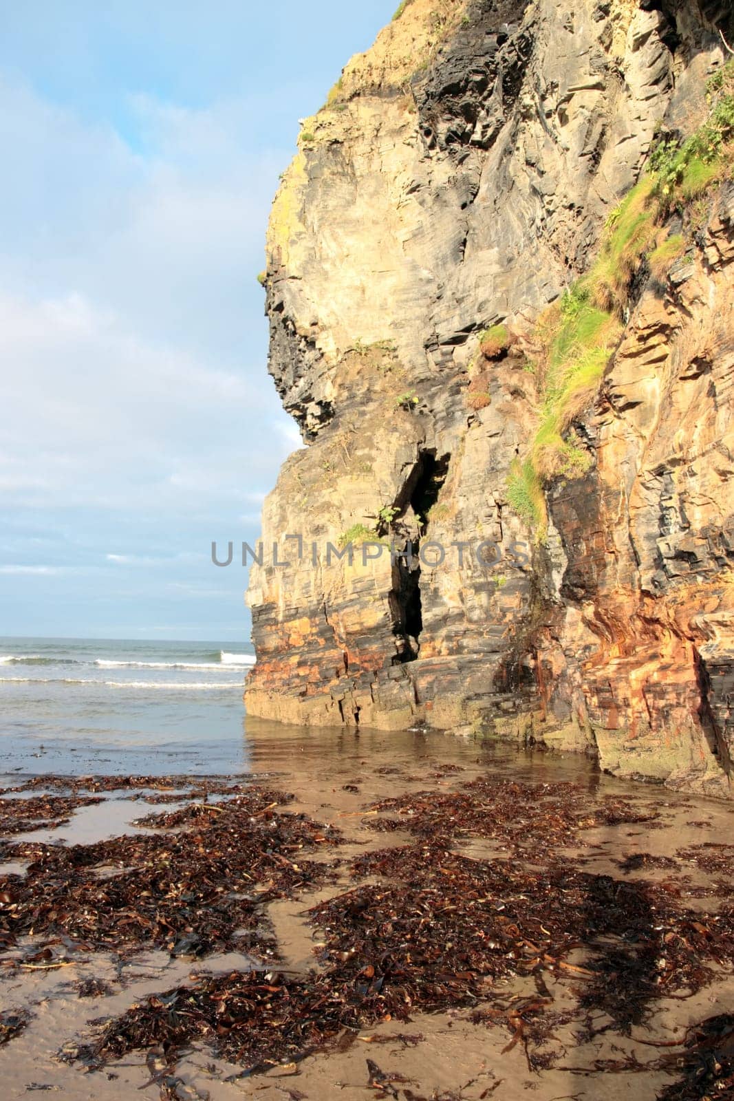a view of the beach cliffs in ballybunion co kerry ireland with abundance of seaweed after a storm