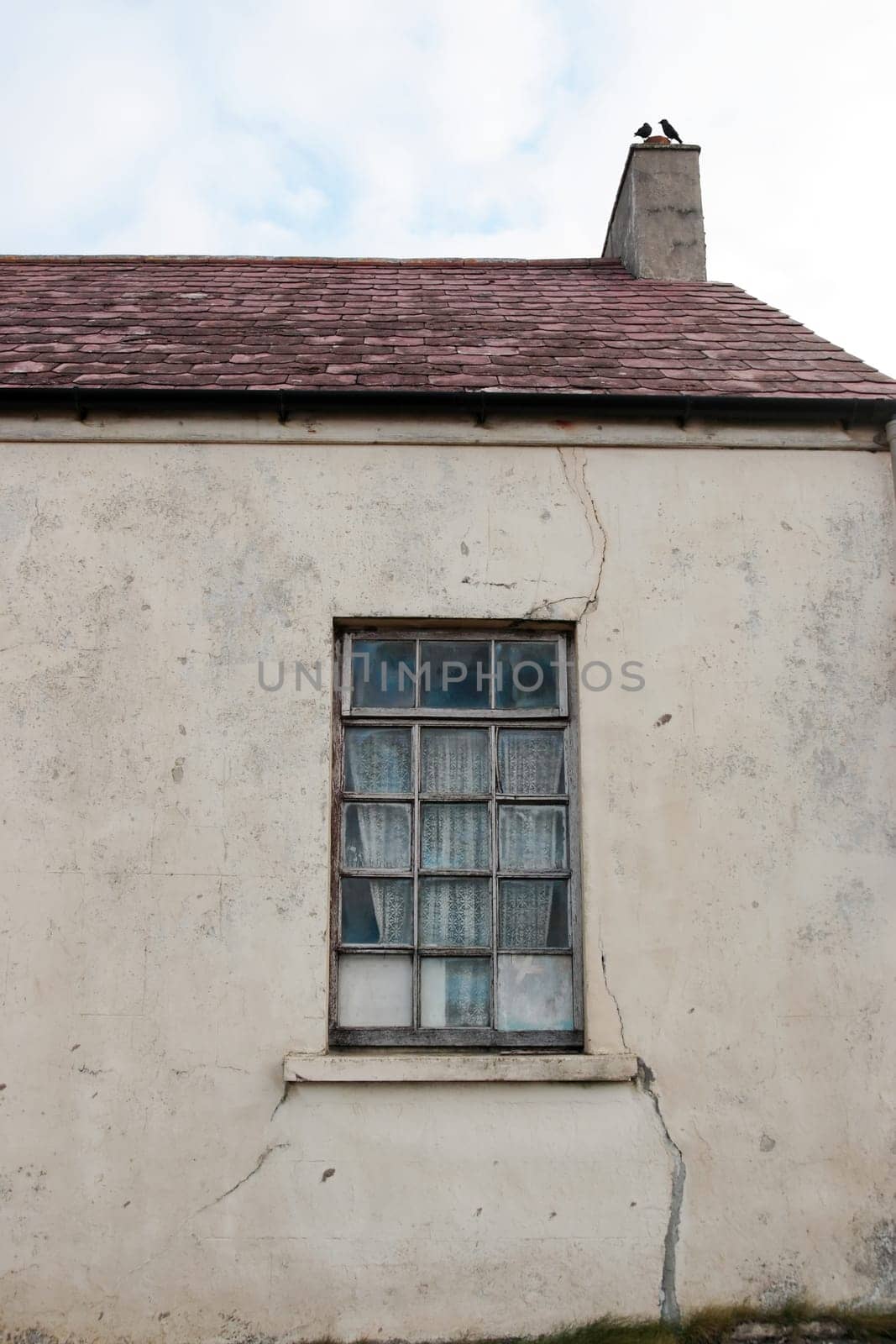 an old decaying house front window in ireland with crows