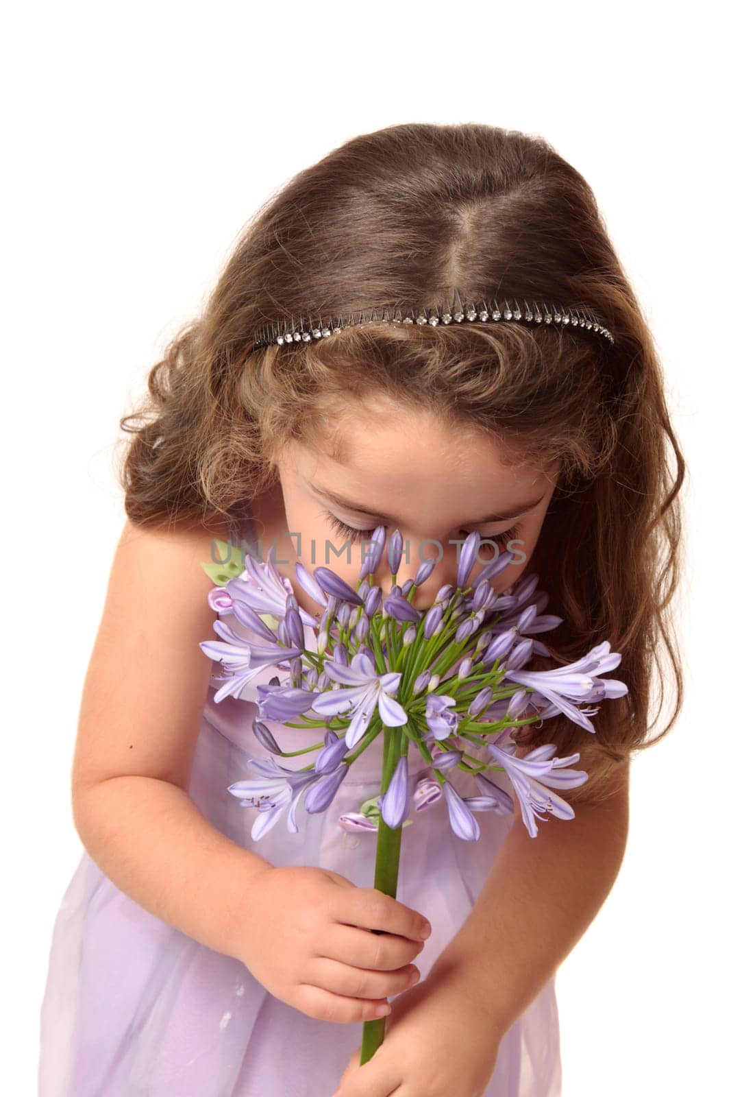 A small girl wearing a mauve dress sniffing a large agapanthus flower head.  Agapanthus comes from the Greek words agape for love and anthos for flower.