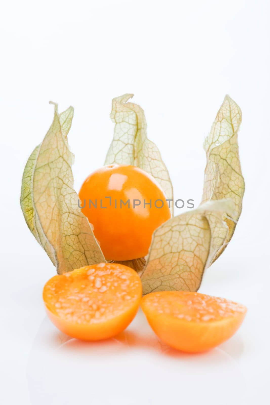 Physalis