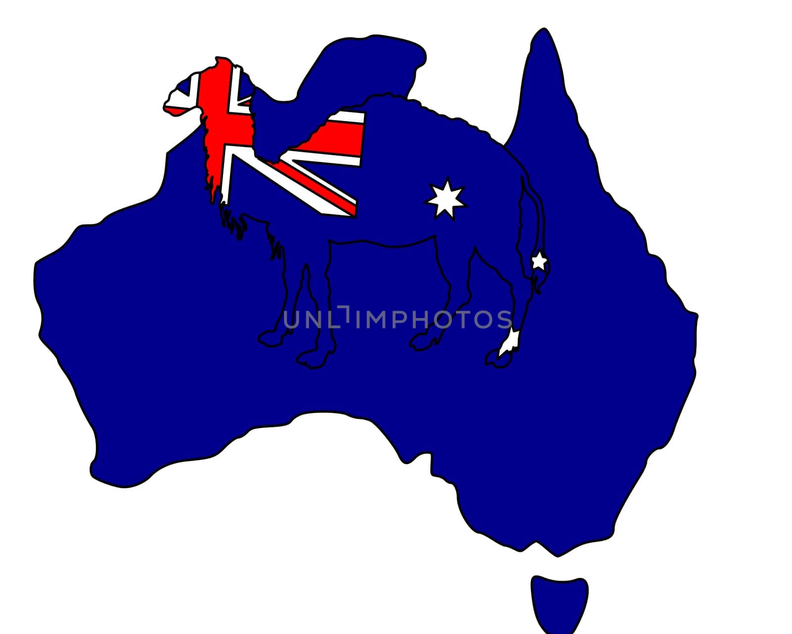 Australian Camel
