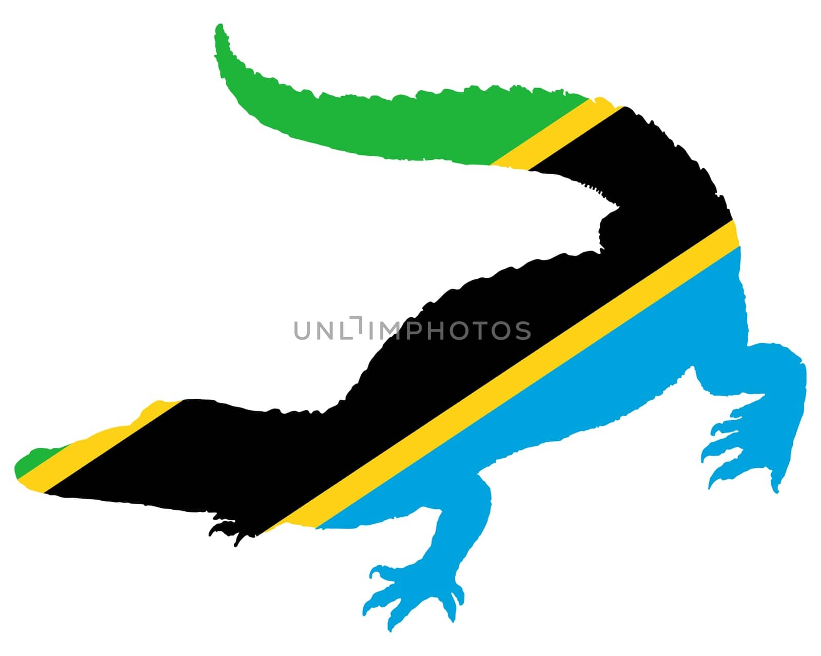 Crocodile Tanzania