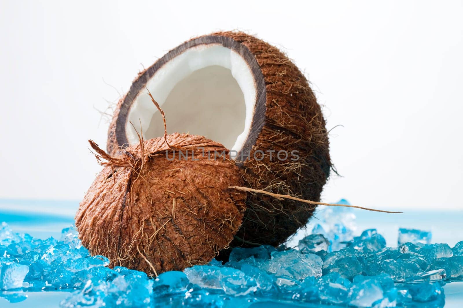 Coconut