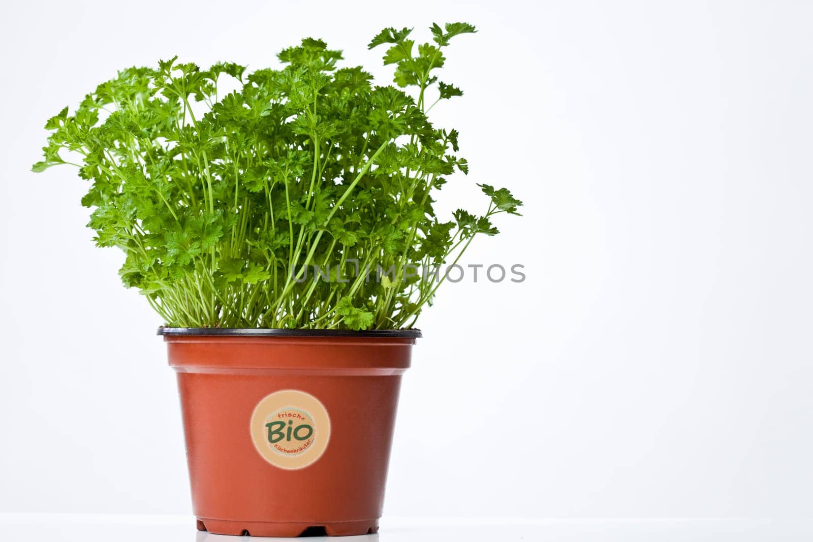 Parsley