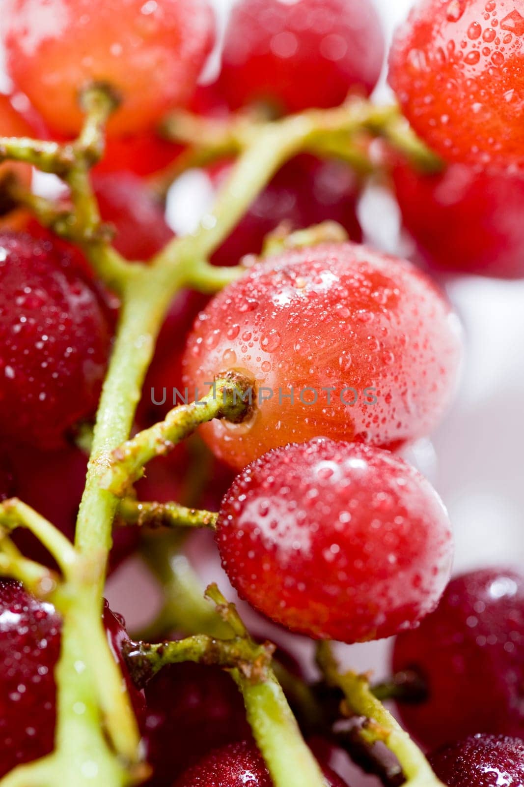 fresh grapes