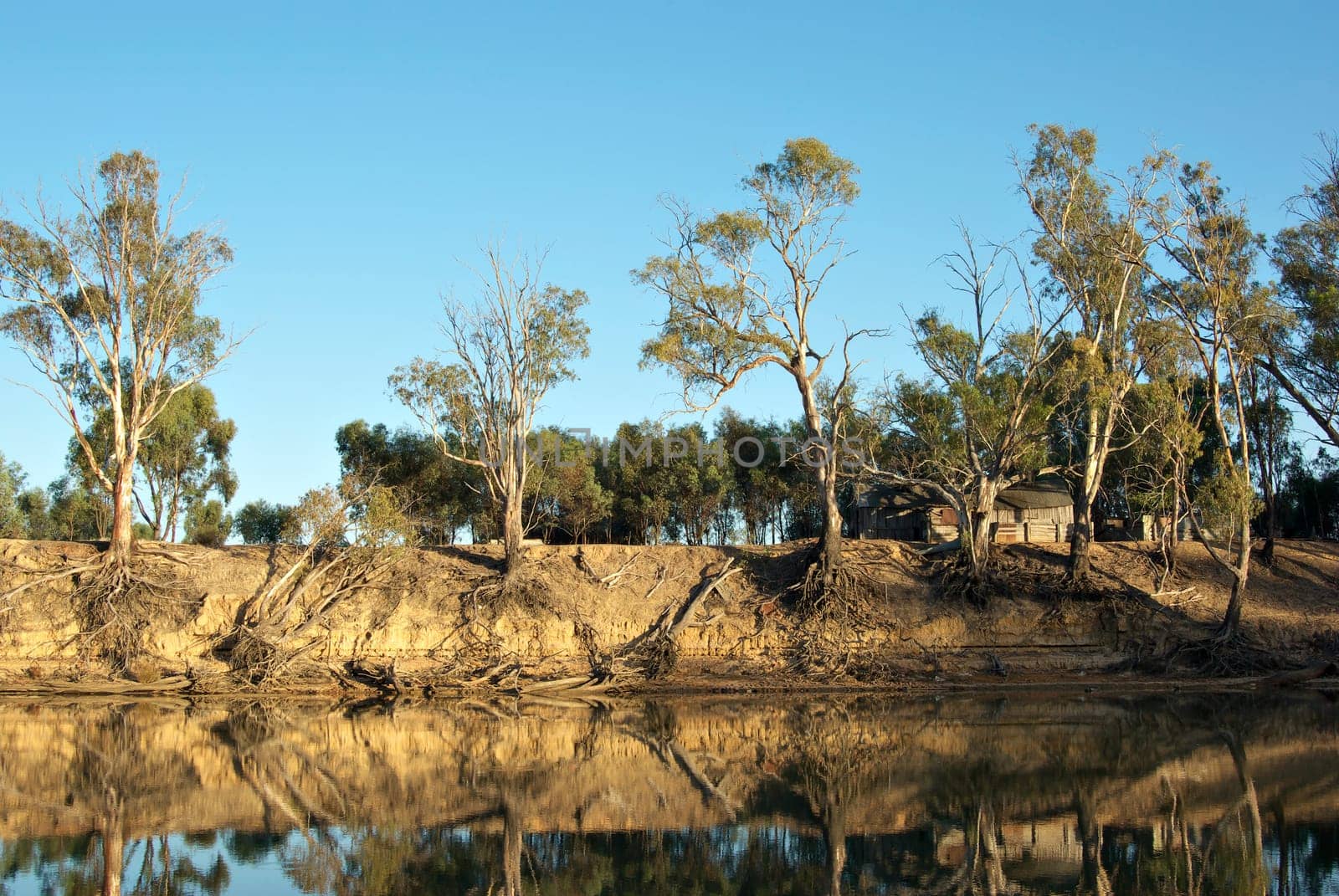 an old wooden house amongst the trees on the river murray