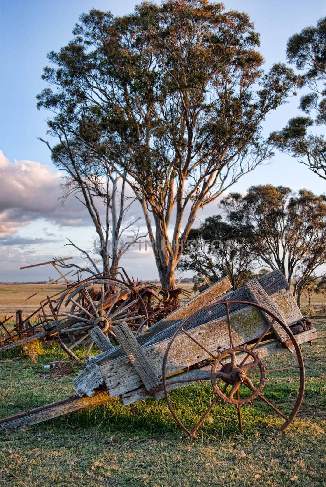 old wagon or cart on the farm
