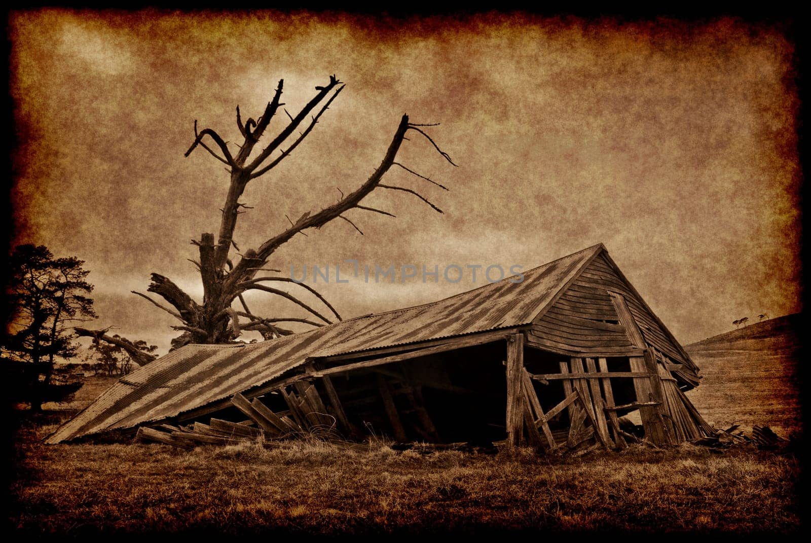 grungy old building on his farm is falling down
