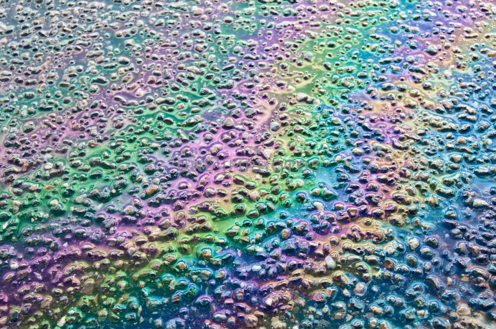 Fuel puddle on the asphalt