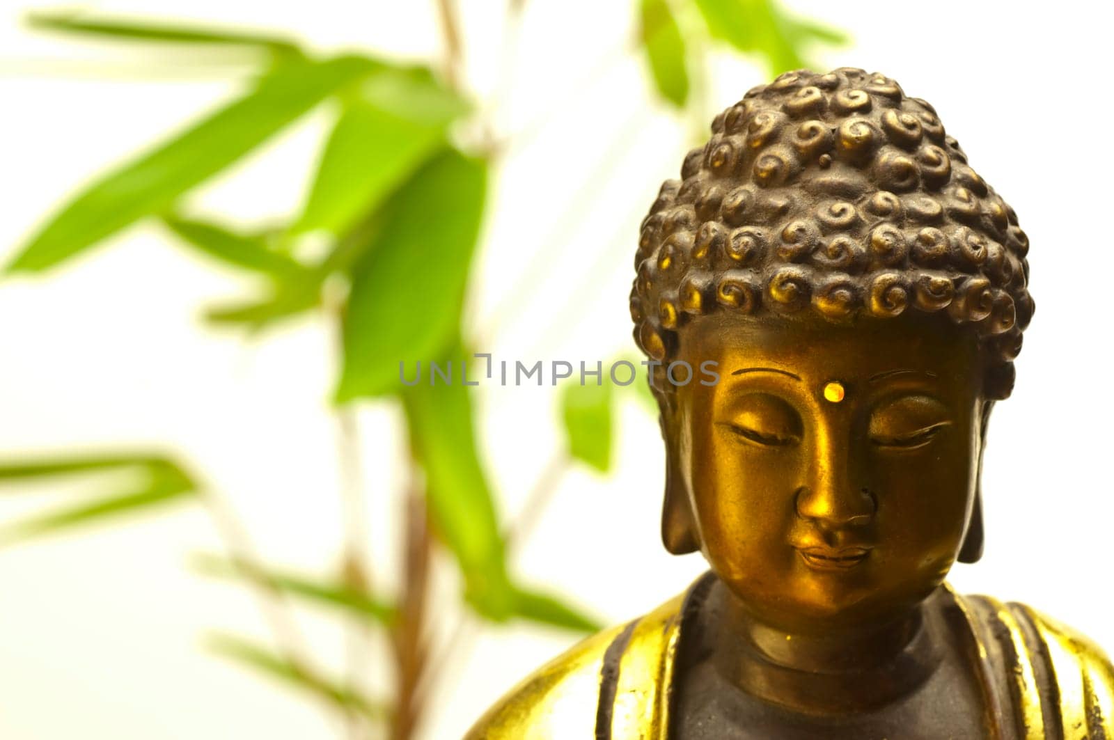 Buddha