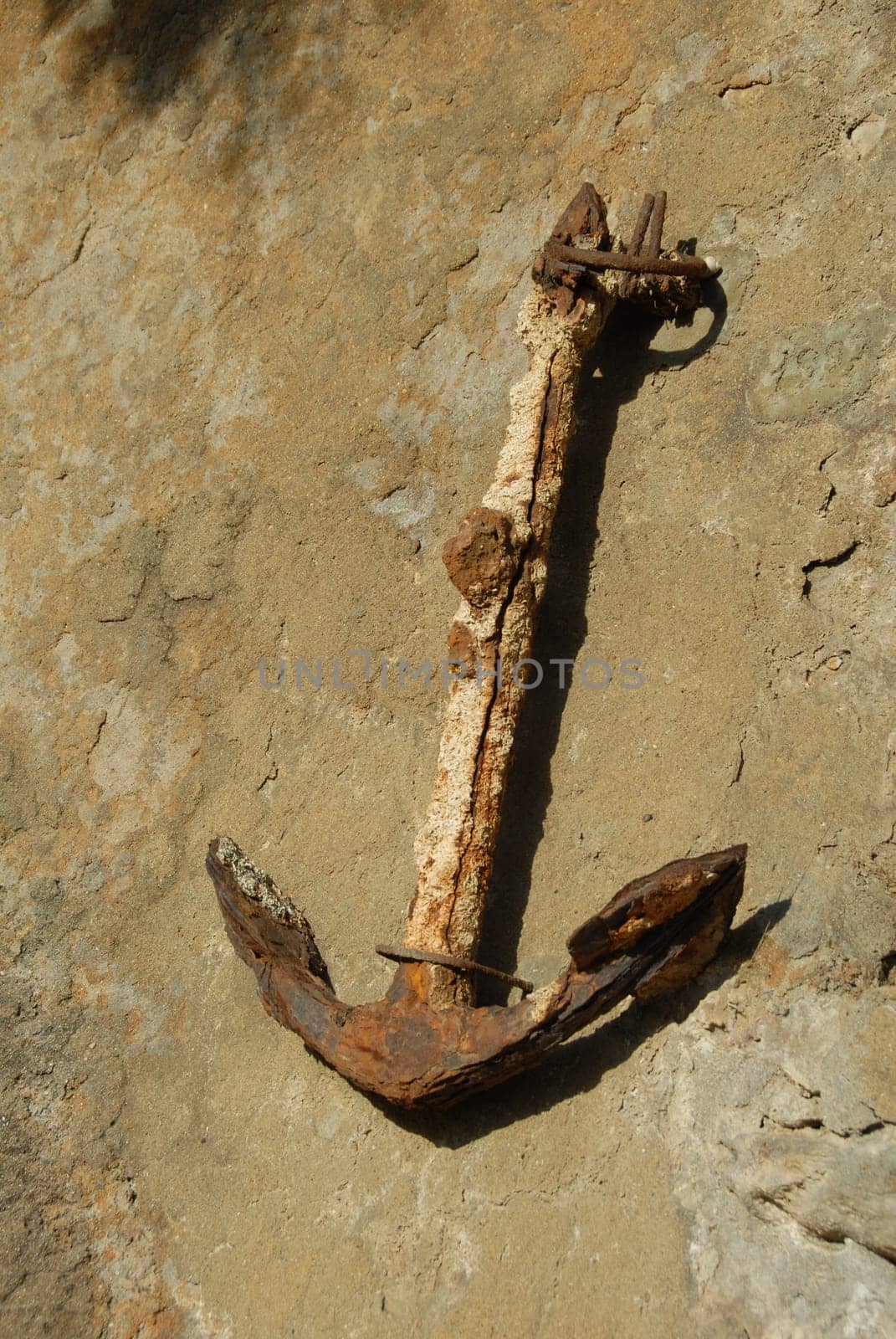 Old Anchor