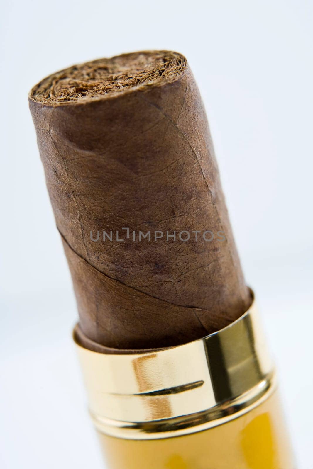 Cigar