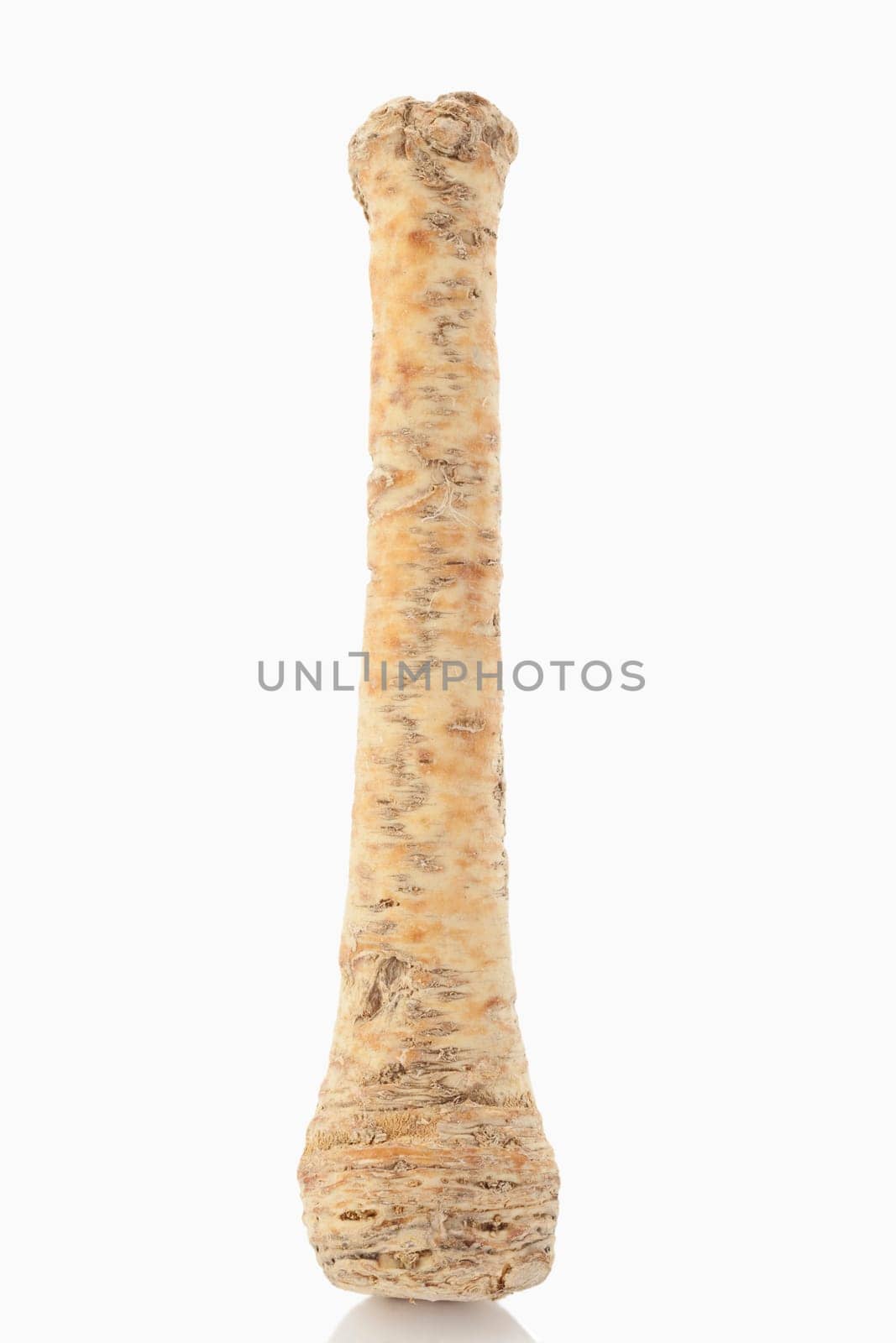 Horseradish