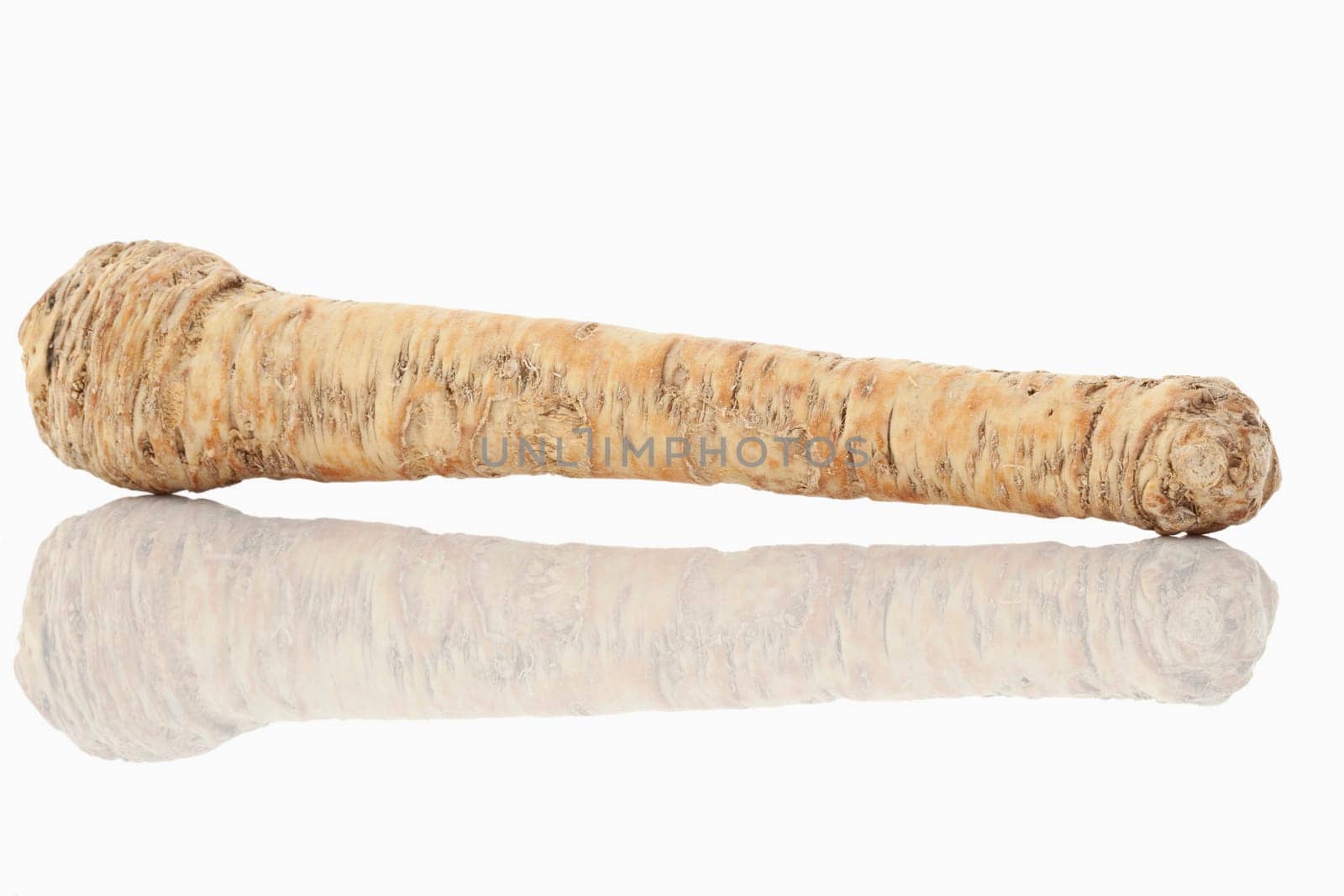 Horseradish