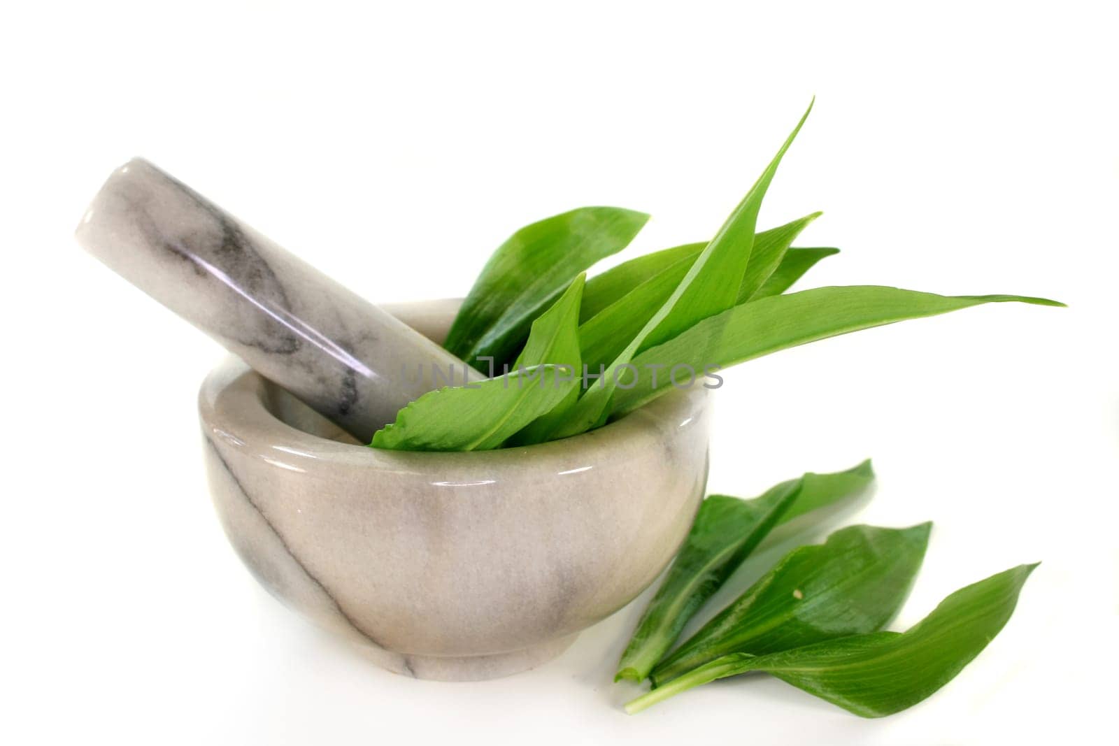fresh wild garlic against a white background
