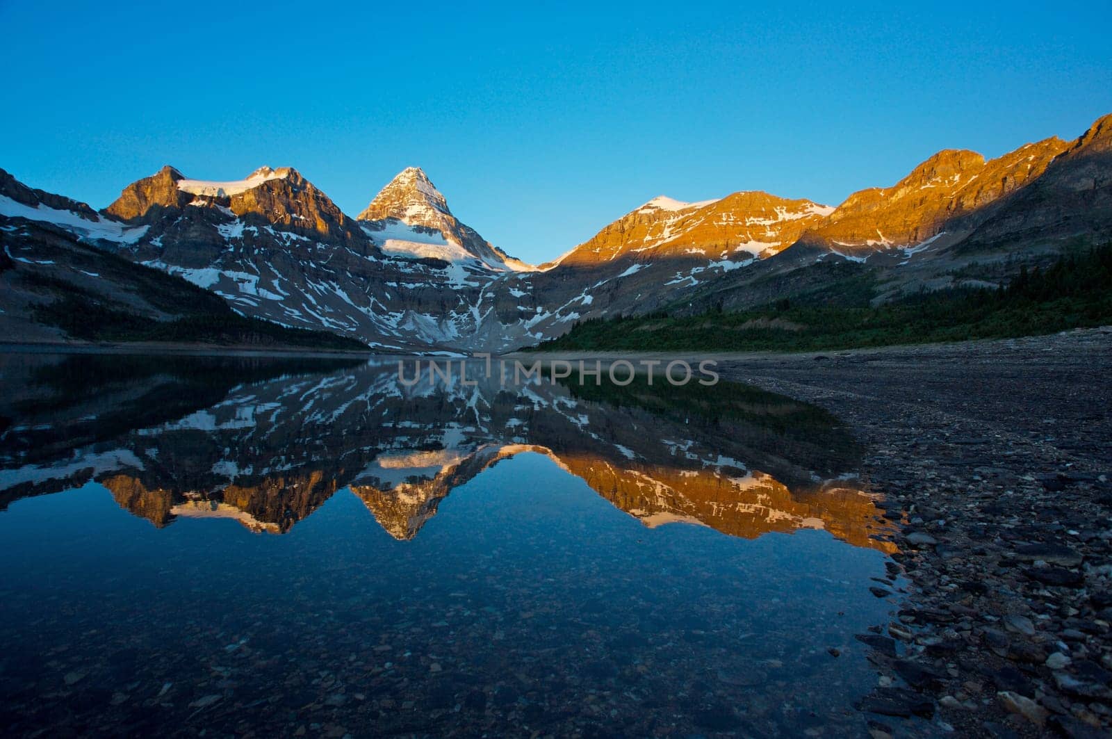 Mount Assiniboine in the Canadian Rockies with early morning light