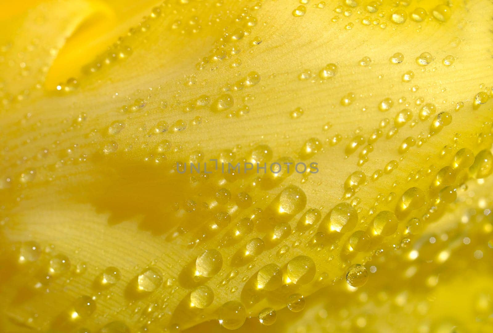 Waterdrop