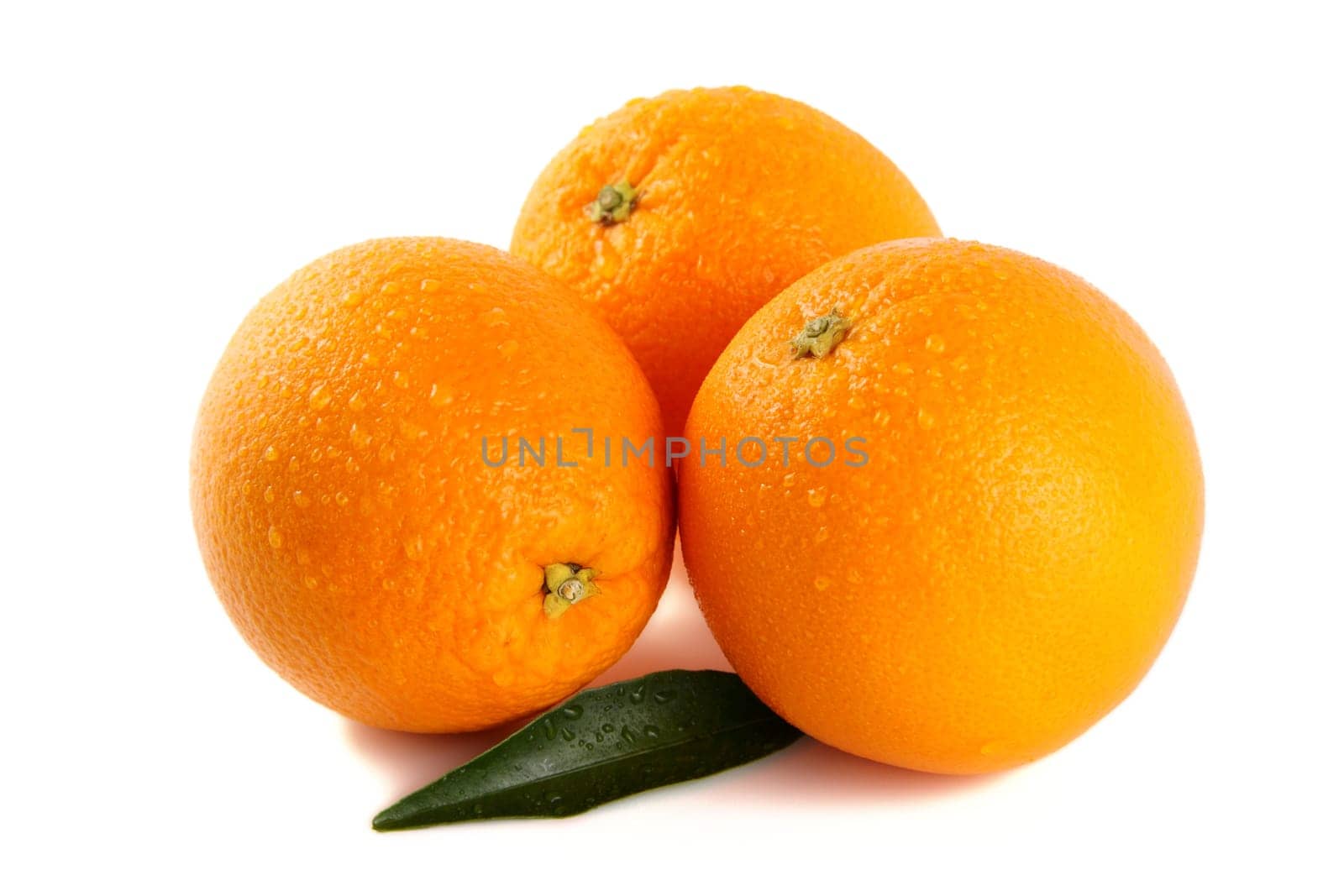 Three oranges isolated against white background