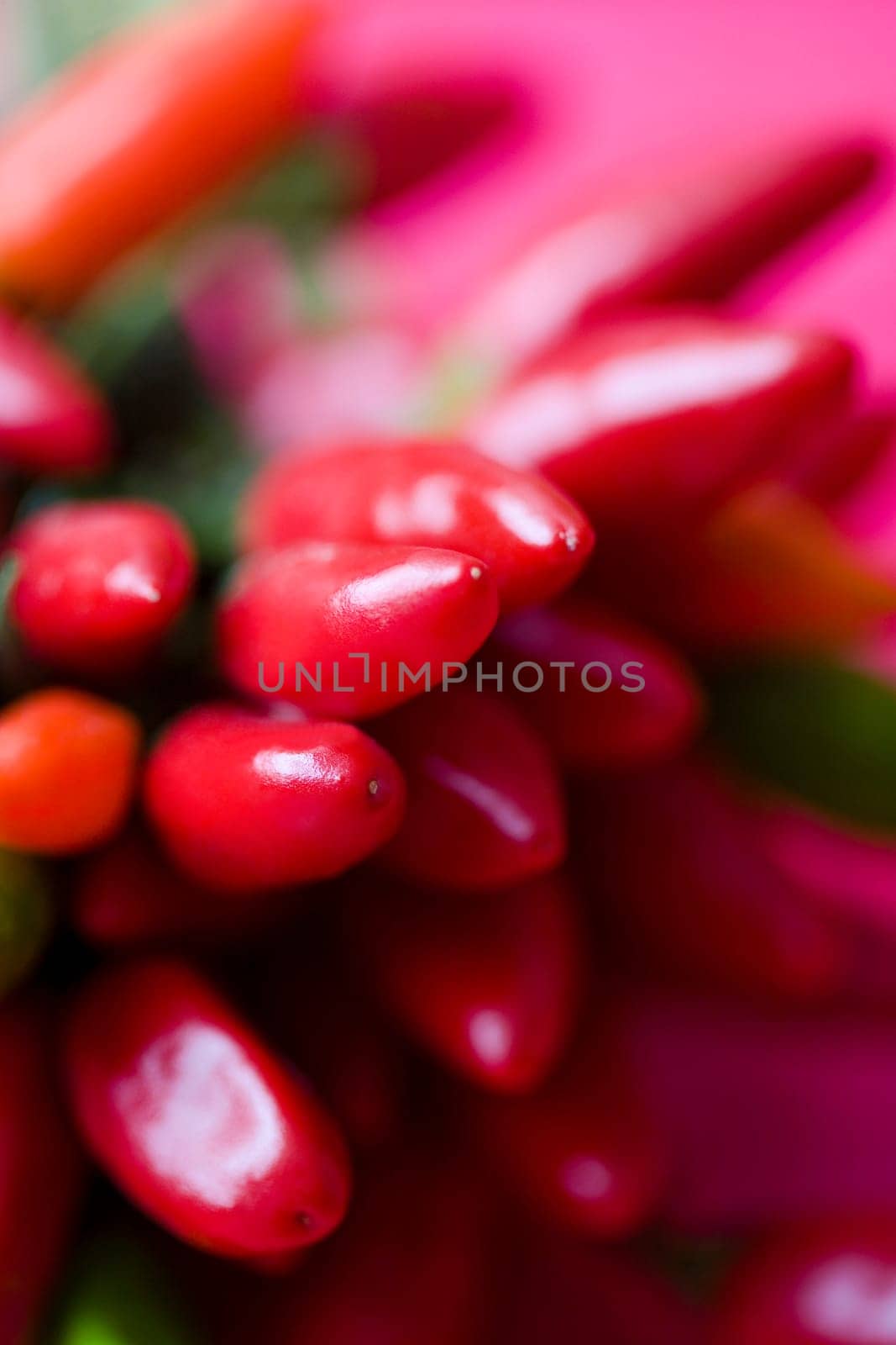 Piri Piri