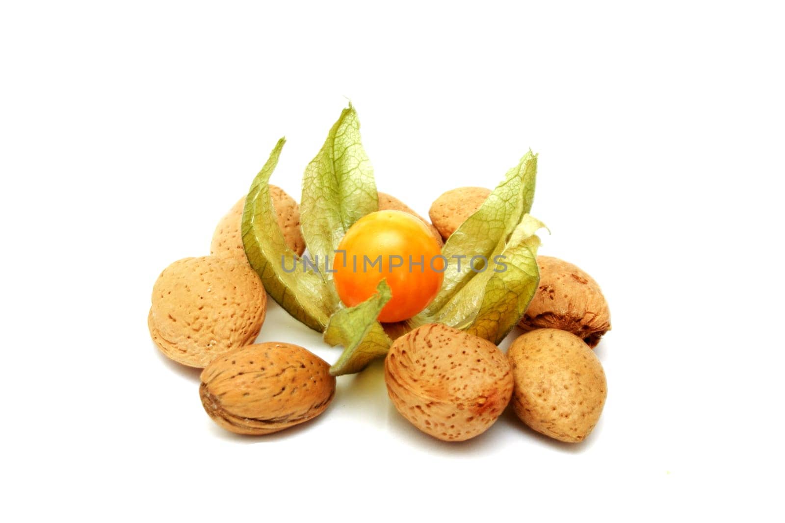 Physalis and nuts isolated on white background