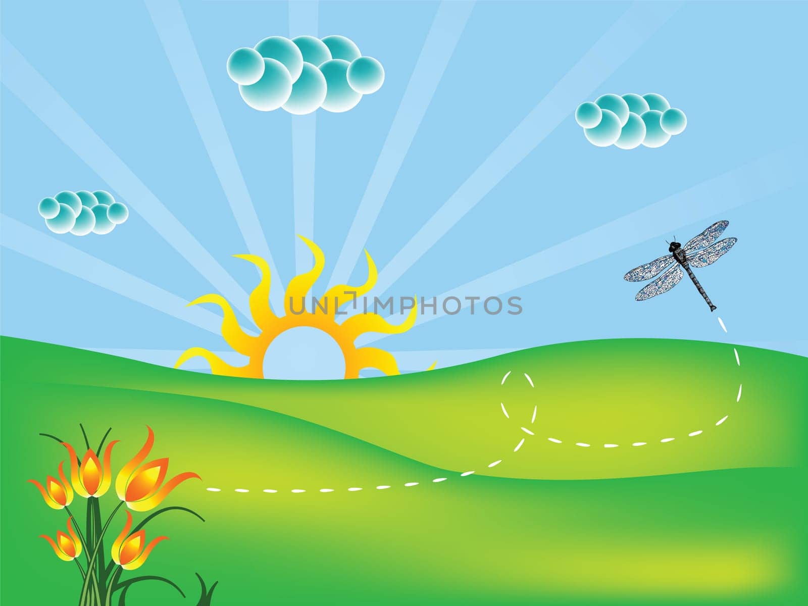 nature landscape