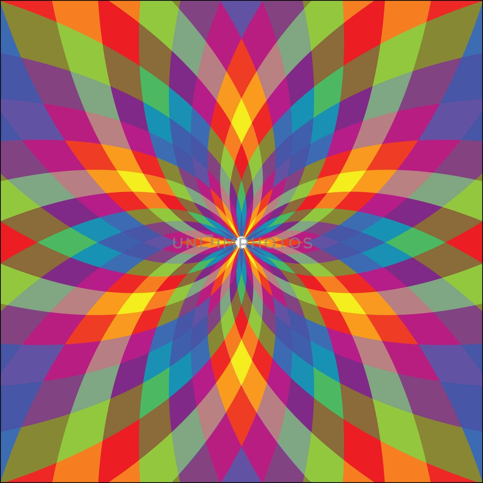 graphic flower