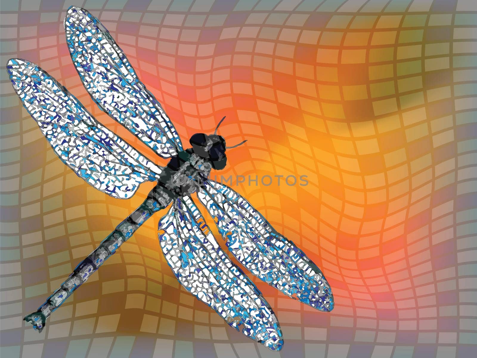 dragon fly