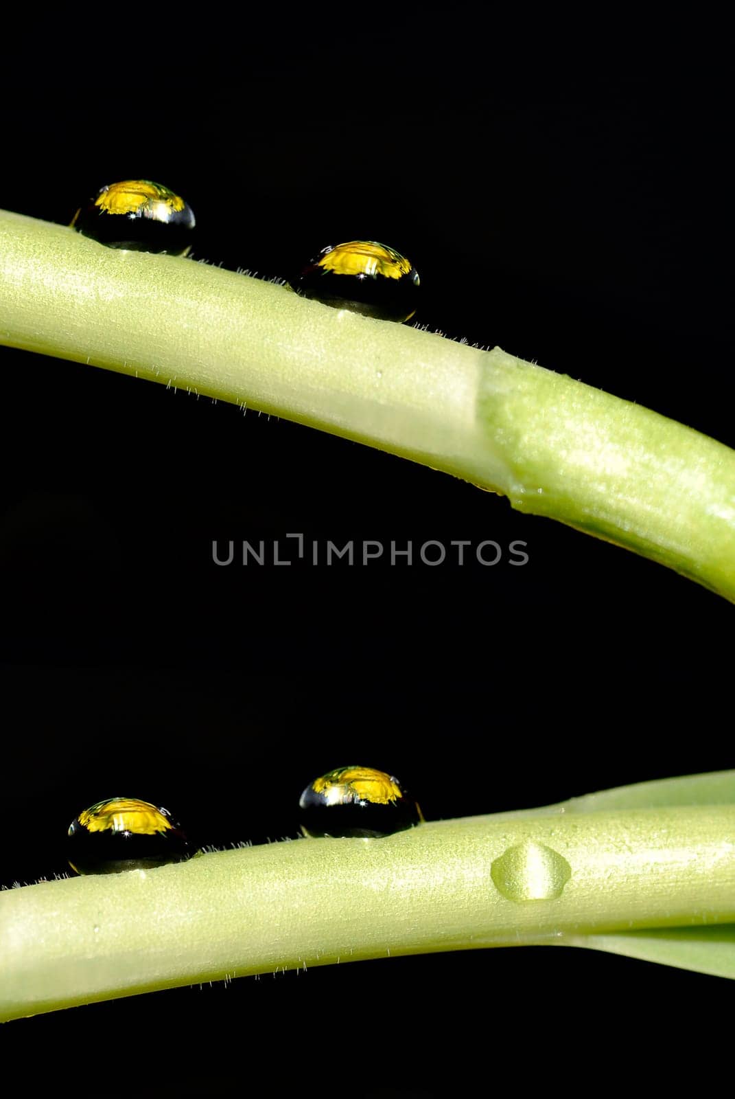 Waterdrop