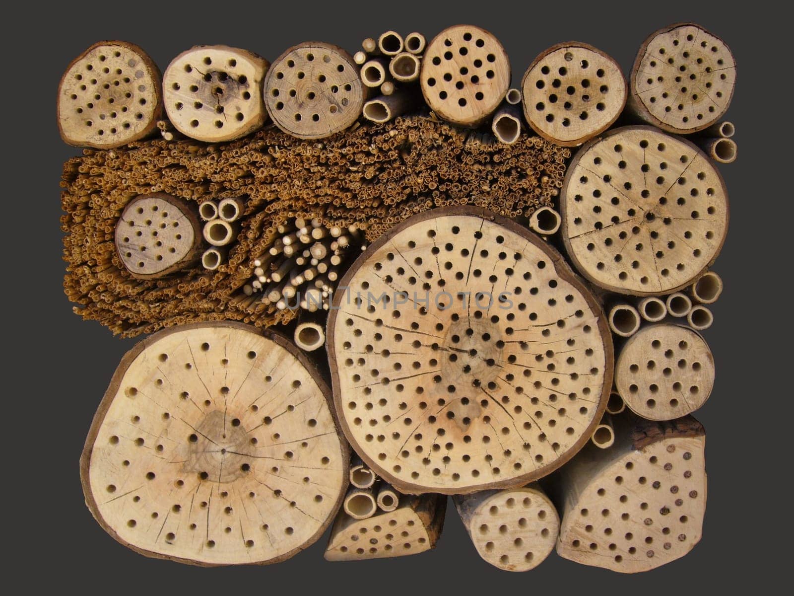 Shelter for insects