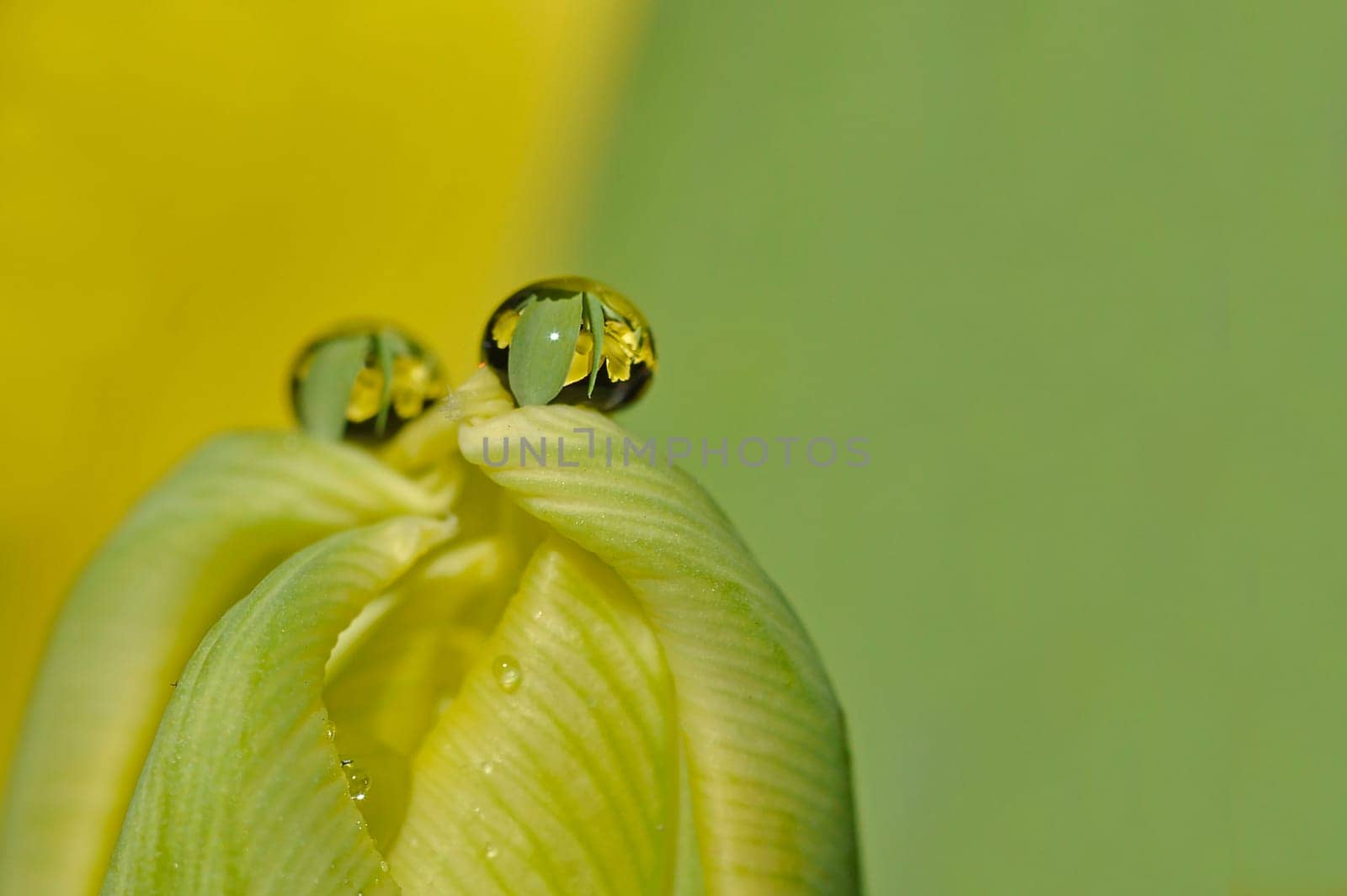 Waterdrop