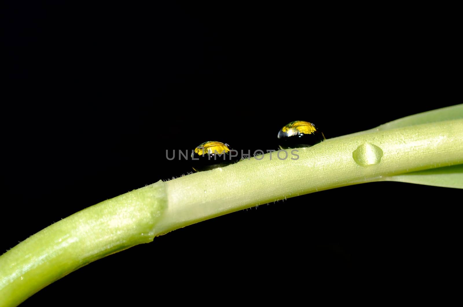 Waterdrop