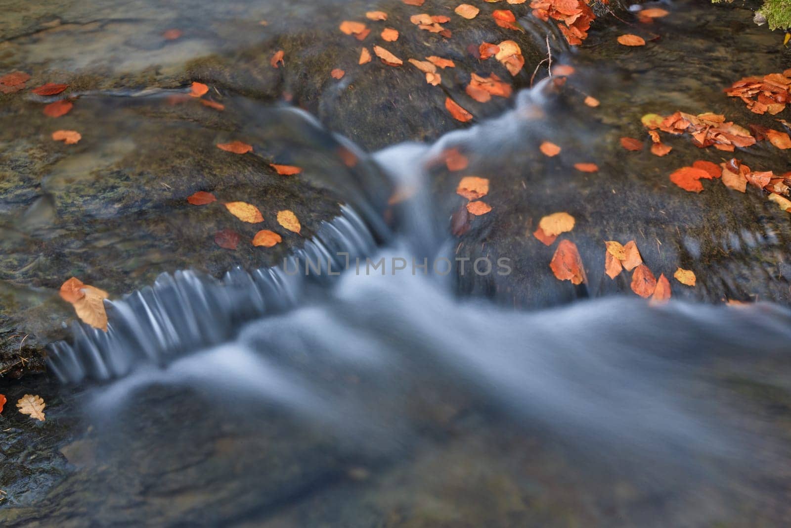 Autumn brook with mini waterfalls flowing in Otzarreta Forest, Bizkaia, Spain