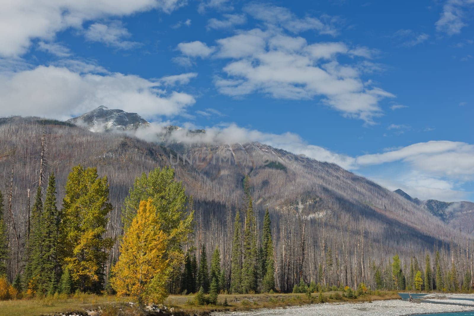 Vermillion River, Kootenay National Park, British Columbia, Canada