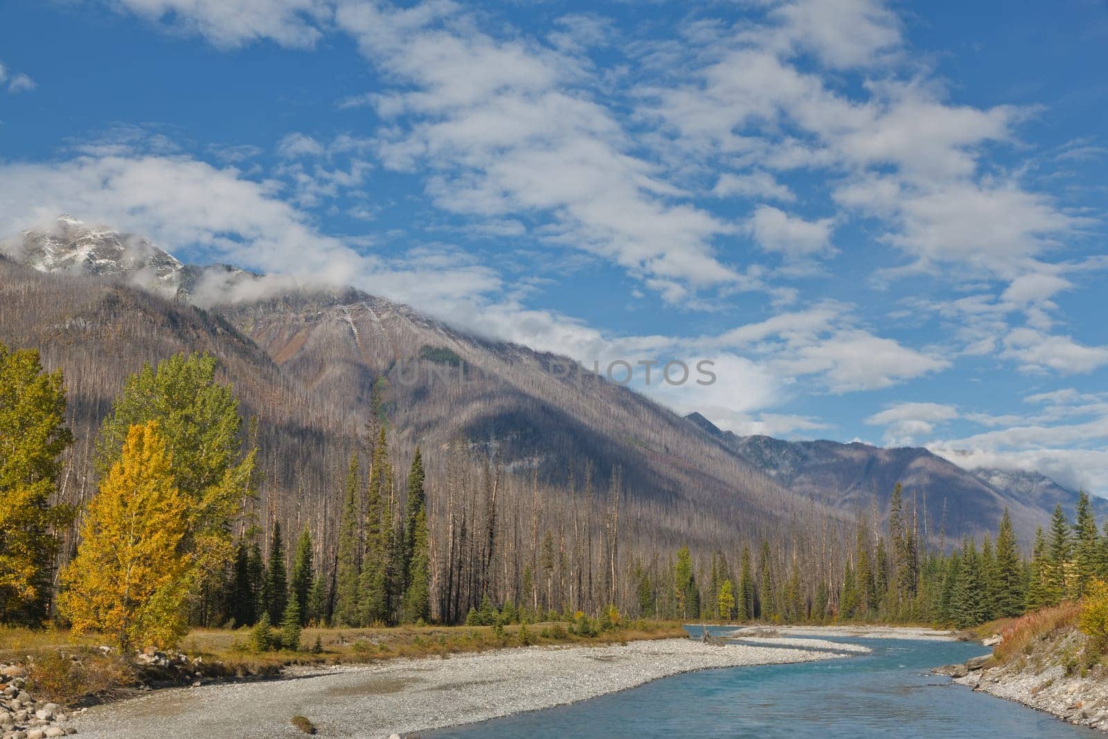Vermillion River, Kootenay National Park, British Columbia, Canada