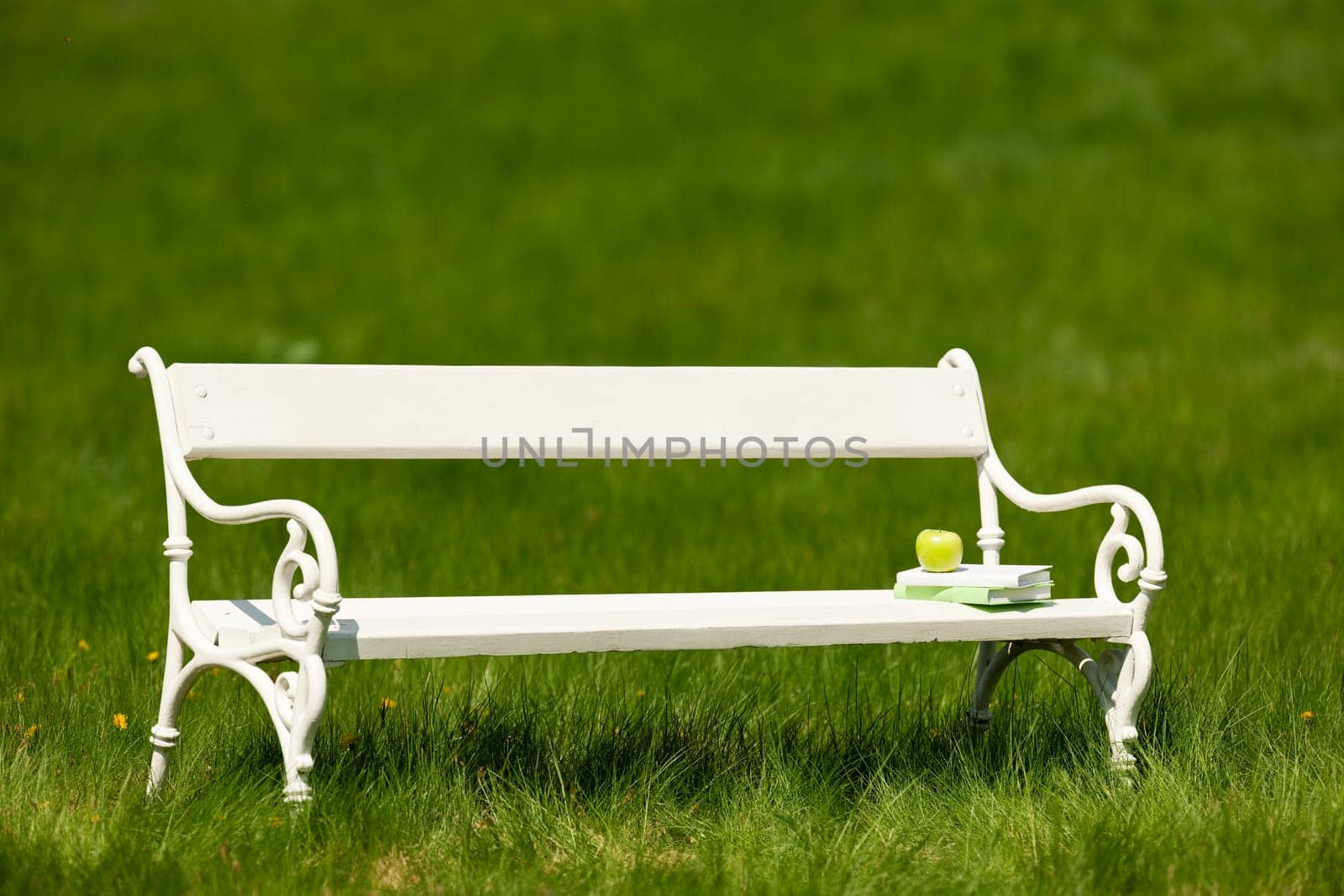 Spring and summer - White romantic bench in meadow on sunny day