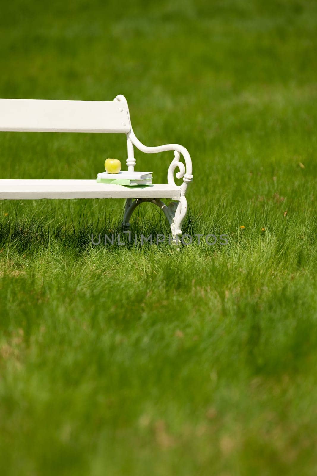 Spring and summer - White romantic bench in meadow on sunny day