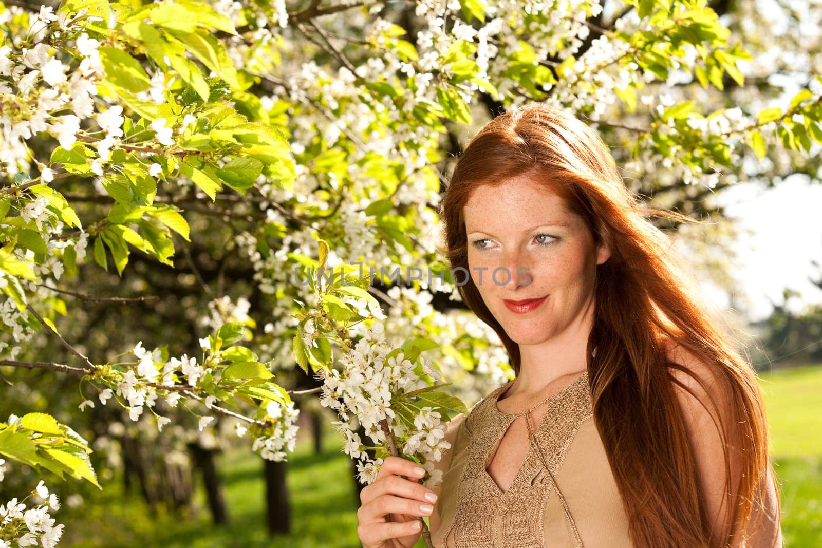 Summer - woman blossom tree park nature smell enjoy garden
