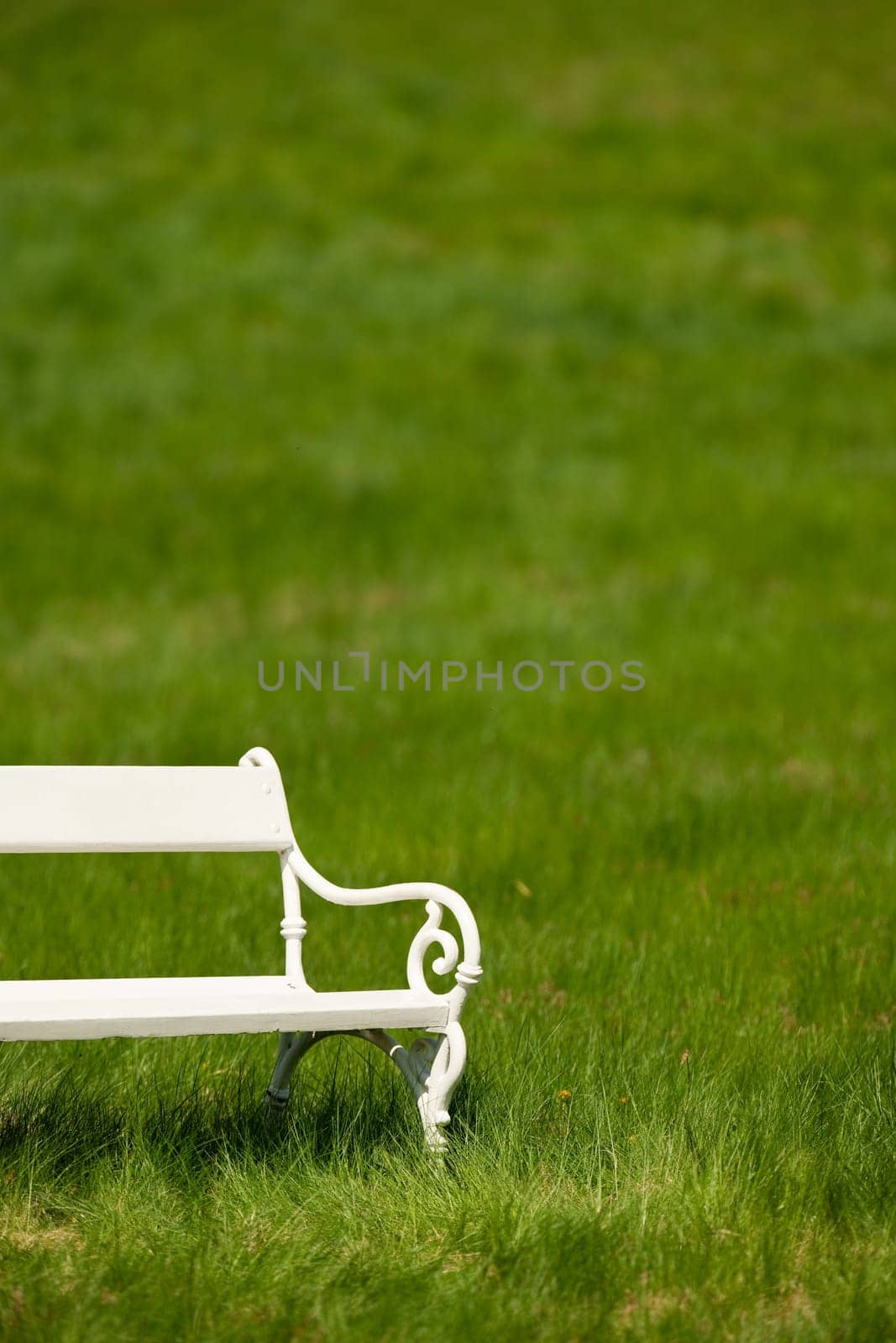 Spring and summer - White romantic bench in meadow on sunny day