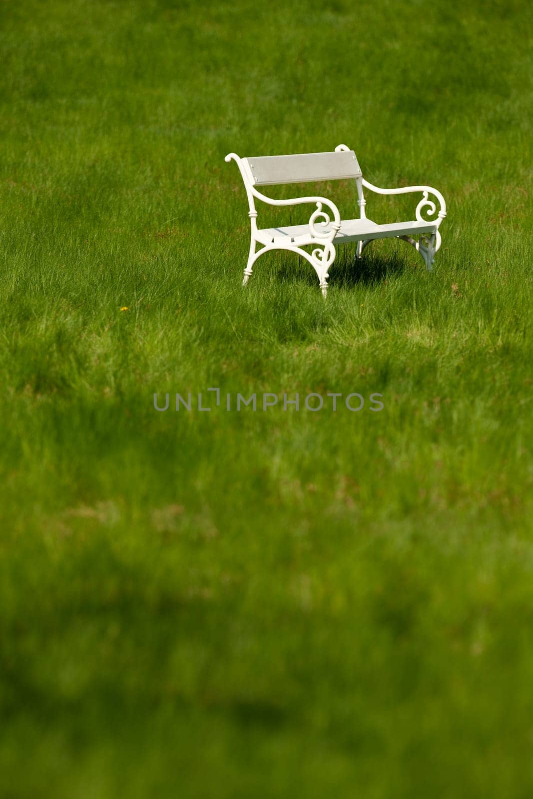 Spring and summer - White romantic bench in meadow on sunny day
