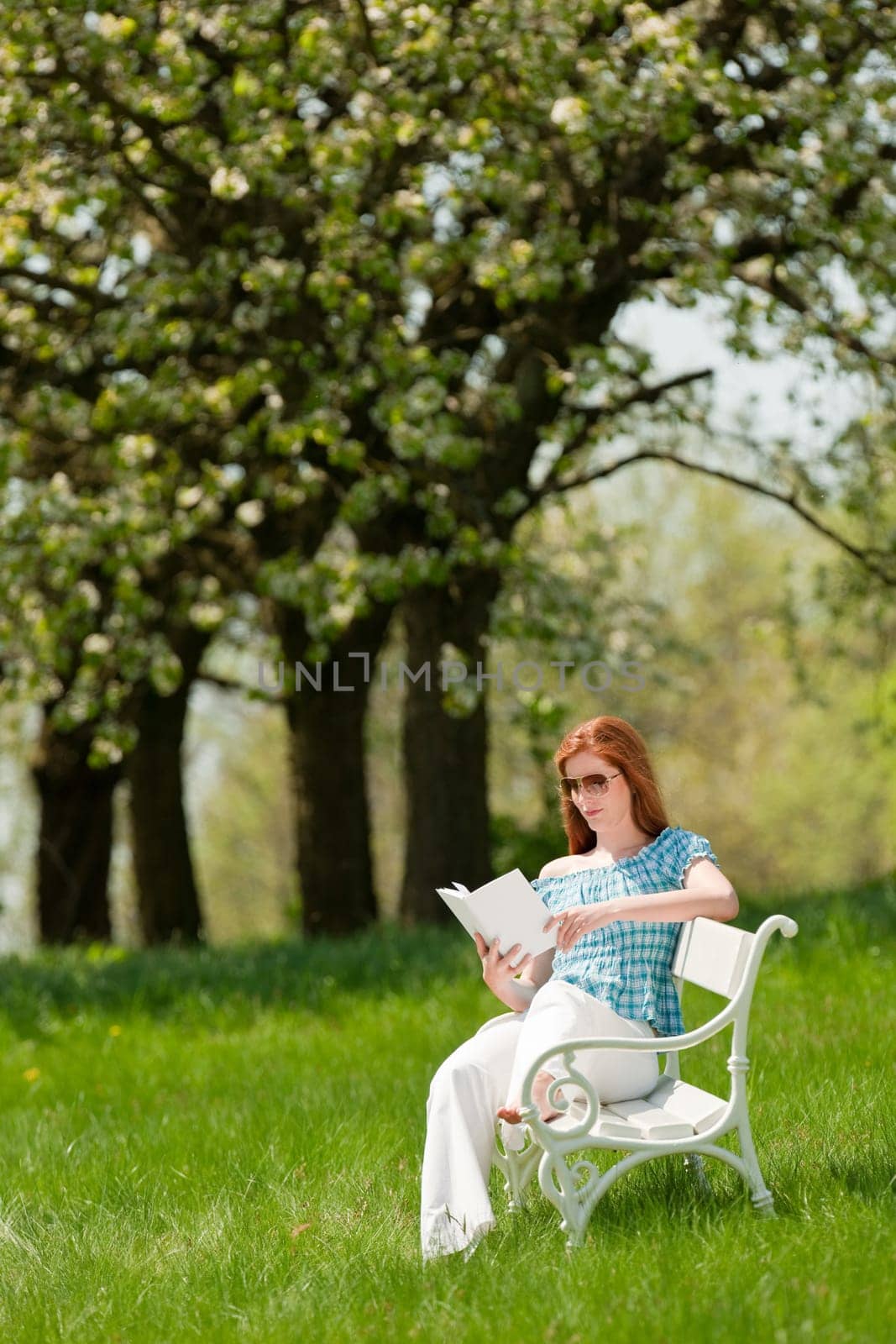 Red hair woman reading book on white bench in a meadow shallow DOF