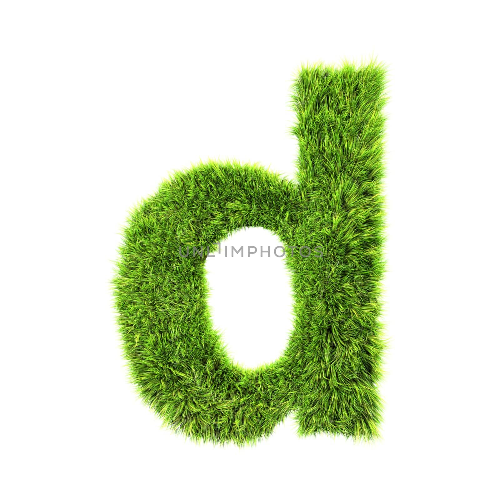 3d grass letter isolated on white background - d