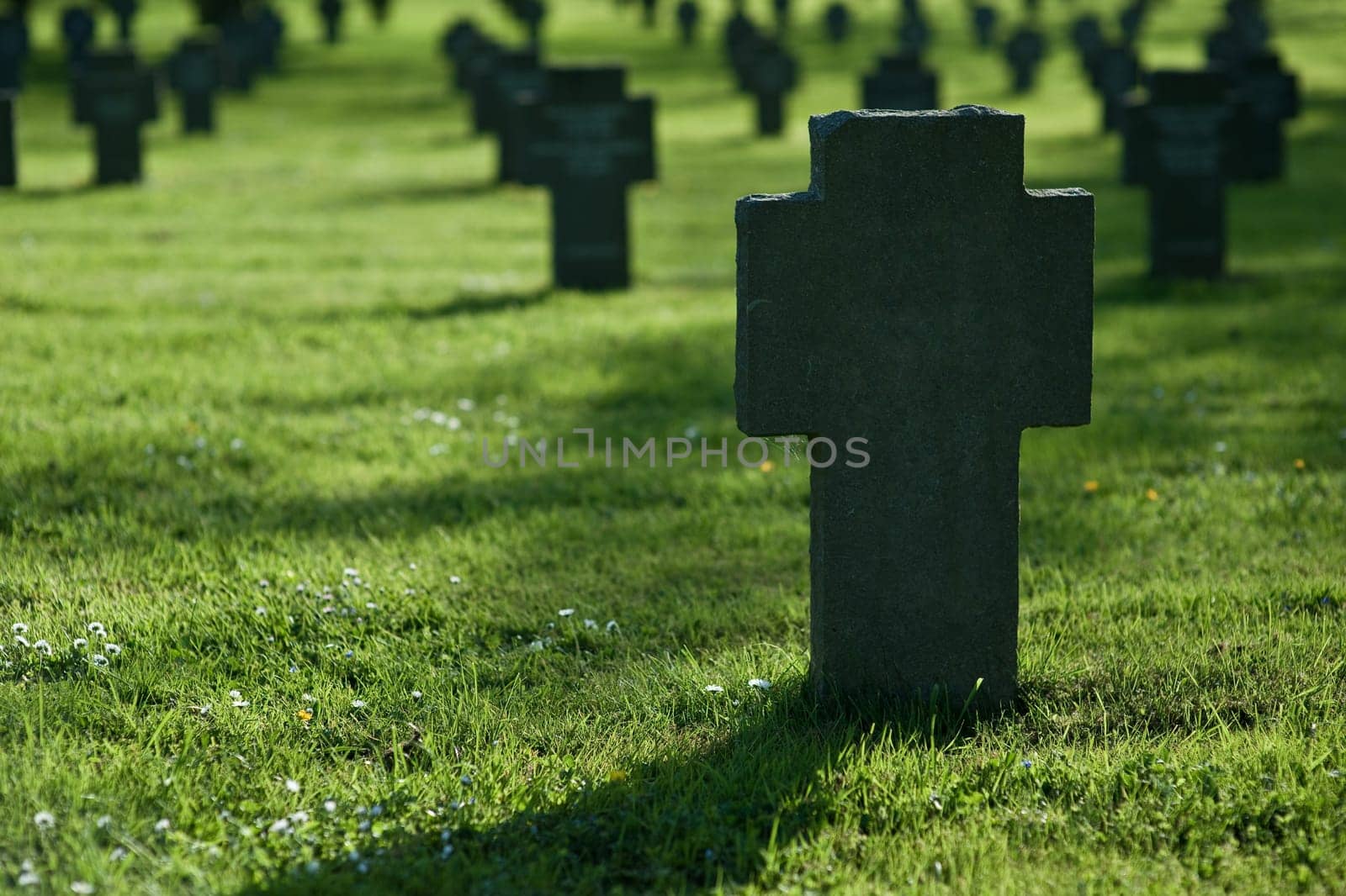 Crosses in grass on cemetery during sunset