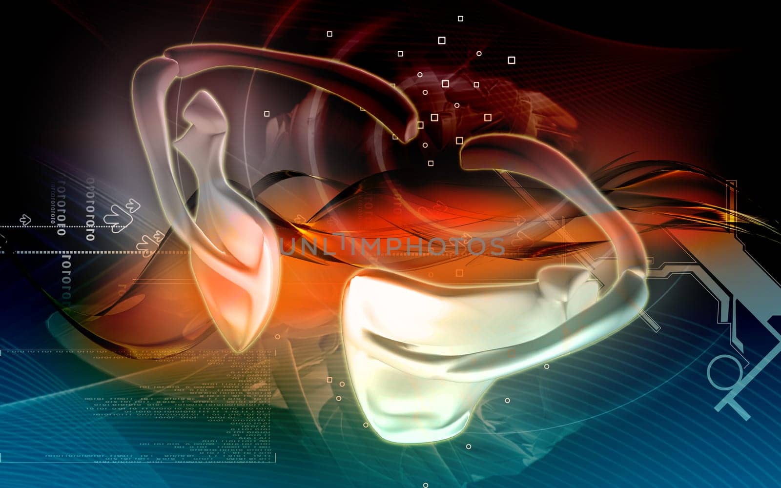 Digital illustration of collar bone in colour background