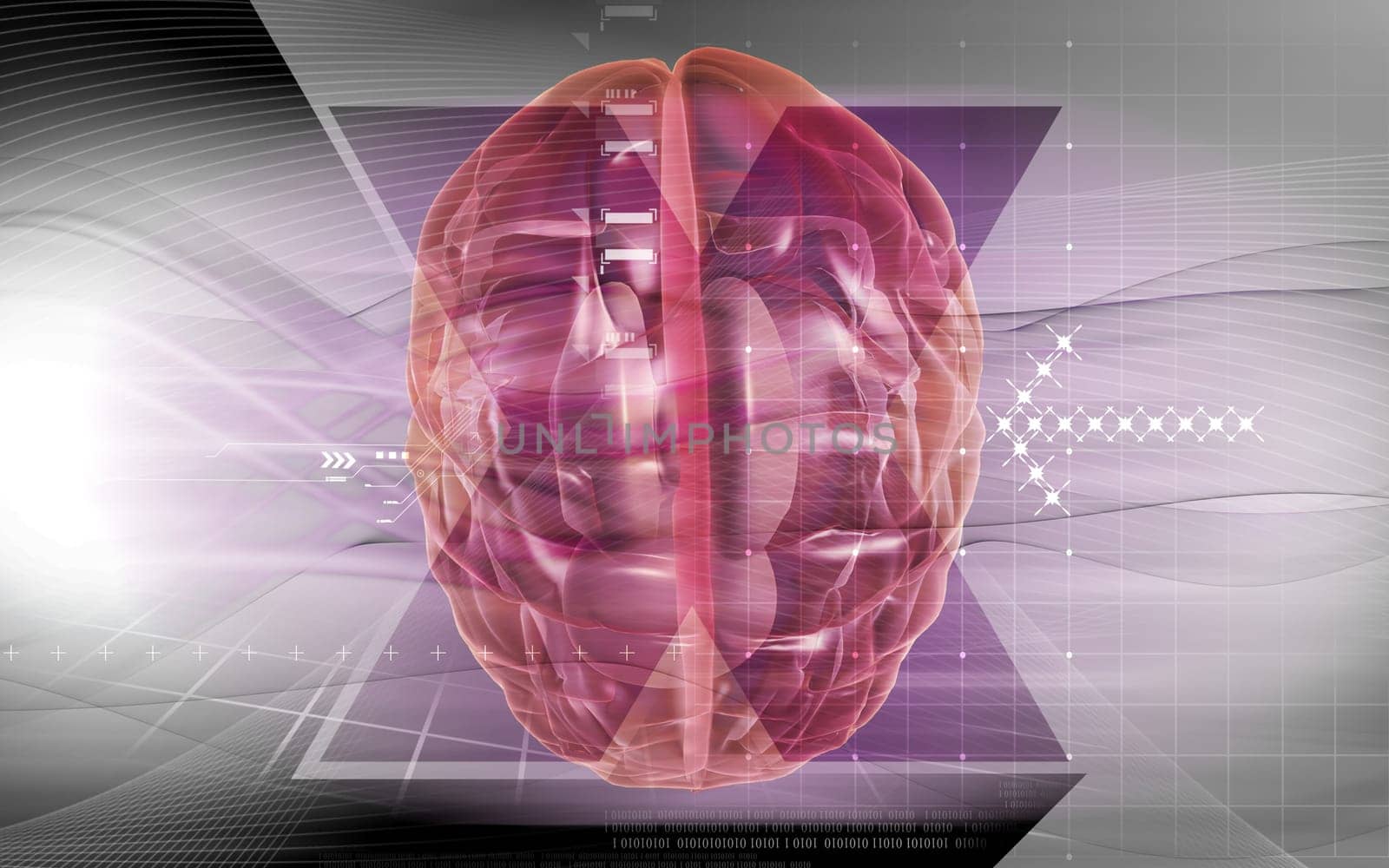 Digital illustration of brain in colour background